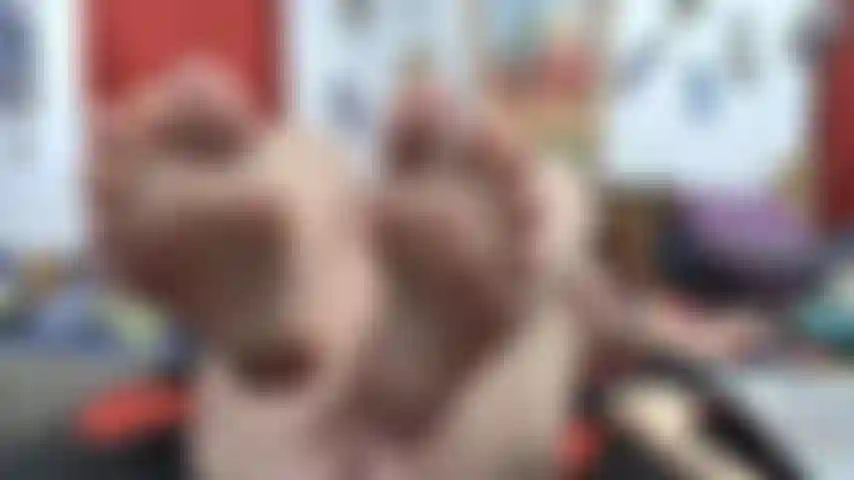 Pov der füße – sohlen und zehen mit lotion darauf, zeige ermutigend meine muschi.