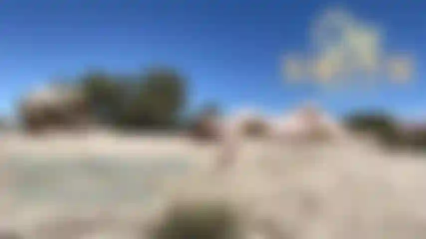 Masturbationsmeditation.