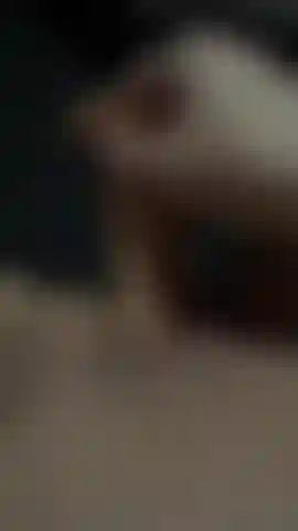 Pussy und ein dildo.