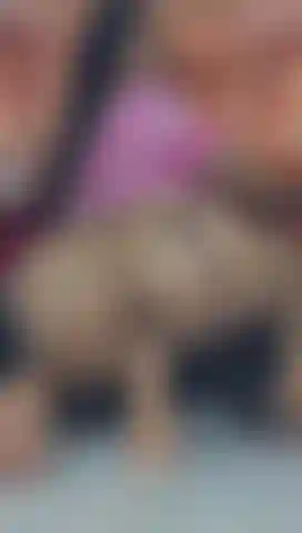 Ein schluckfreudiger arsch.