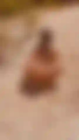 Ebony-arsch twerkt nackt beim voyeur draußen am bach.