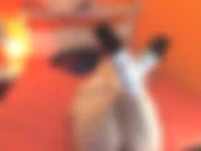 Schau dir das an und es wird dich so hart abspritzen lassen.