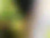 Meinen arsch zu schütteln, ihn zum klatschen zu bringen und dich nur damit zu necken, wird dich so hart abspritzen lassen.