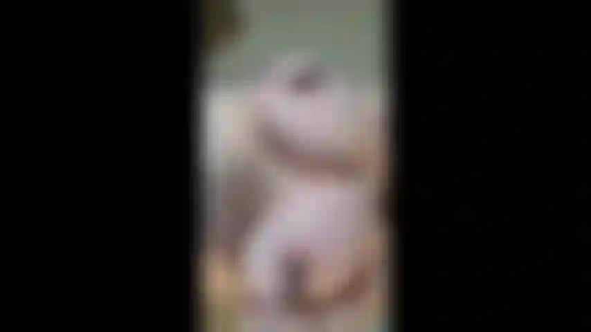 Klemme an meinen harten nippeln ganz nah und beim masturbieren zu sehen.