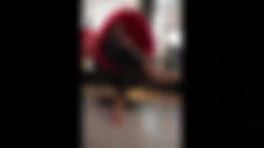 Die kunst des schwanzlutschens.