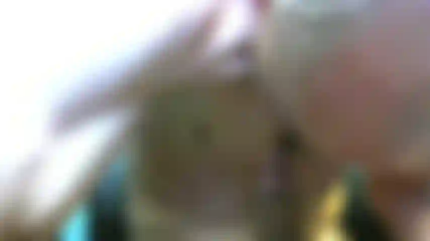 Diesen langen schwanz leckt und pumpt.