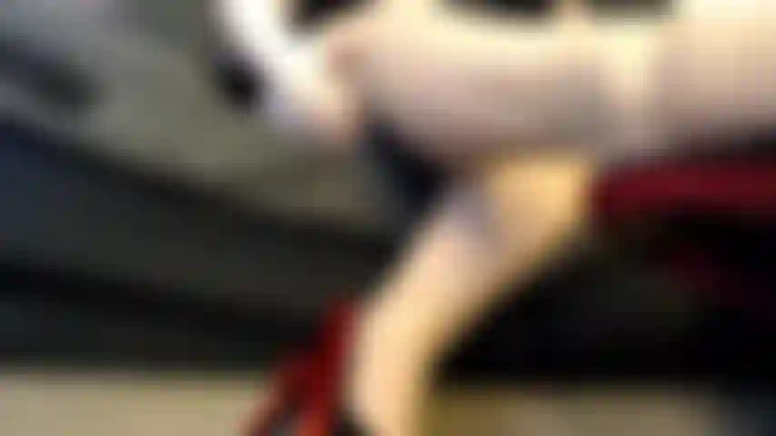 Schwach für sexy beine.