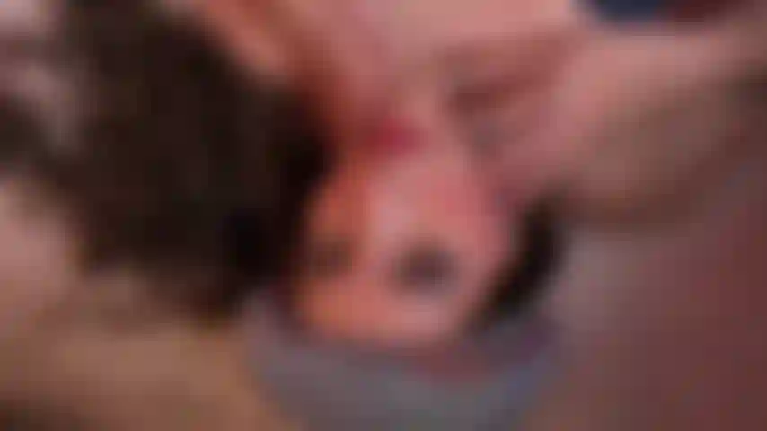 Necken, hd-video! Lass uns spielen!!!