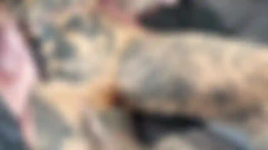 Cute POV bj with eye contact and ASMR moaning