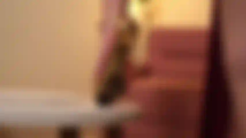 Du liebst immer eine herausforderung. Wie wäre es, wenn wir es mit meinen füßen versuchen? #Eroticteasing #feetjob #joi.