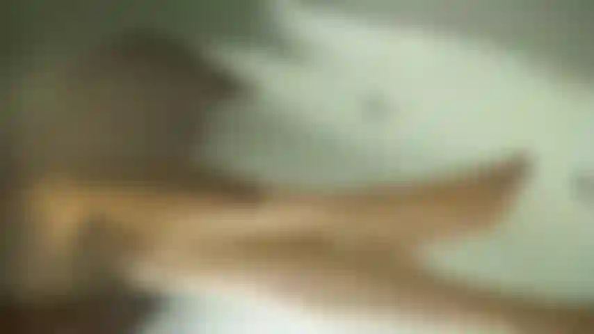 Leidenschaft spricht in geflüsterten versprechen.