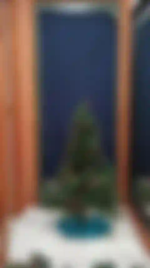 Schmücke den weihnachtsbaum.