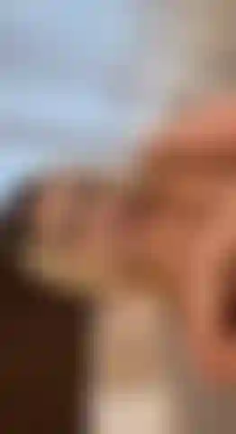 Meine brüste in deinem gesicht! Lass sie hüpfen! Lutsch sie!