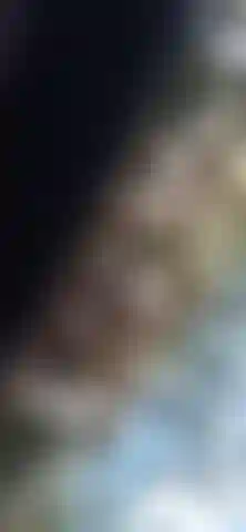 Blowjob