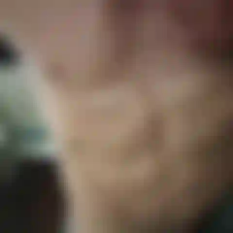1000001244 Ja.