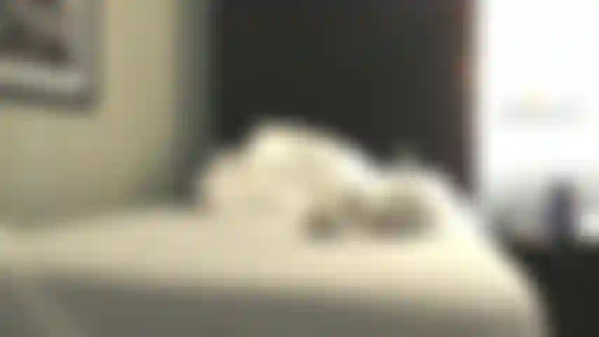 Sushi in einem hotelzimmer.