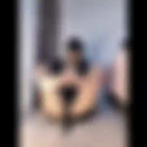 Lass deinen schwanz über meine füße gleiten.