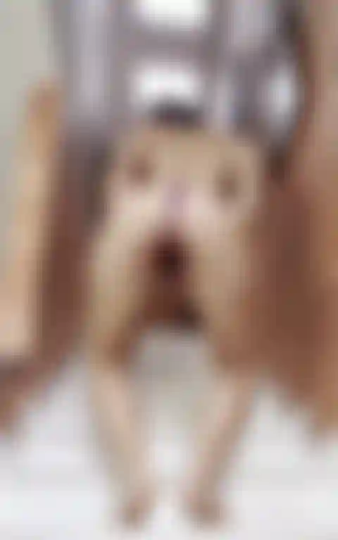 Lass uns hart werden.