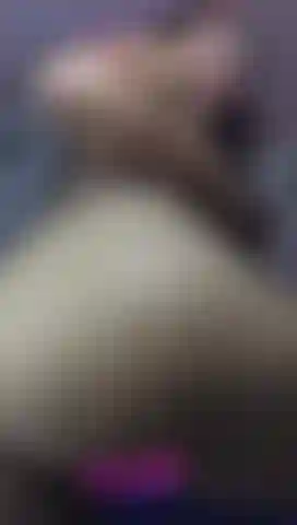 Mein arsch und meine fotze.