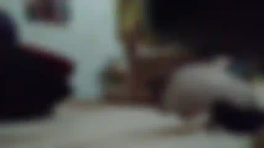 Naruko-cosplay, die mit stofftieren masturbiert. Mp4.