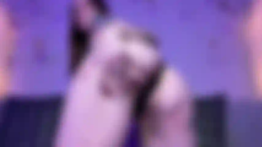 Arschanbetung randrolle.