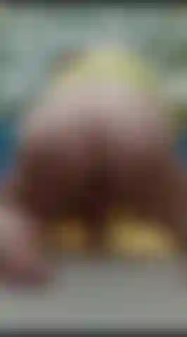 Deinen schwanz reitet.