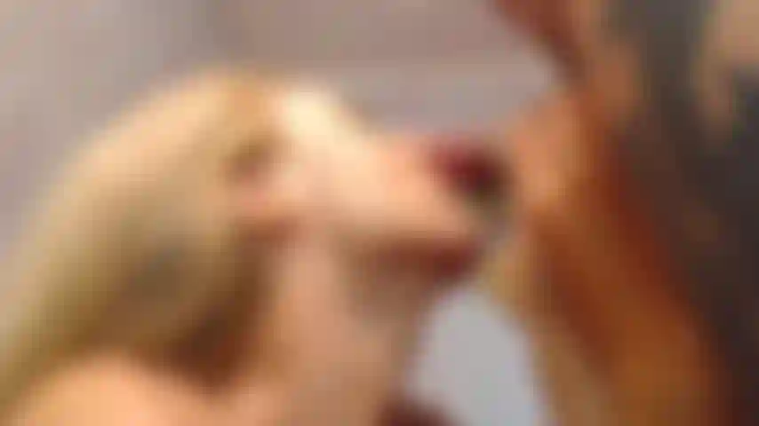 nose fuck and blowjob