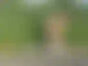 Nackt in den feldern irlands posiert.