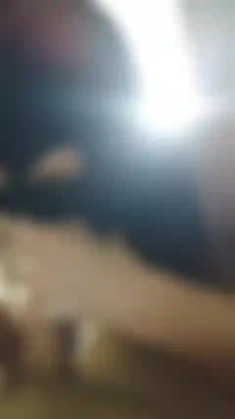 Ich lutsche meinen meister vor neid und gier zu brav / blowjob.