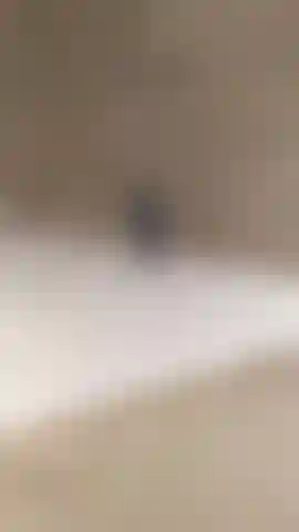 Doggystyle unter der dusche wasche ich und streichle meine fotze. Pussy und anus in nahaufnahme für dich.