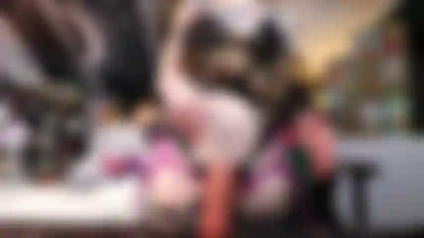 Gothic-freundin macht dich fertig.