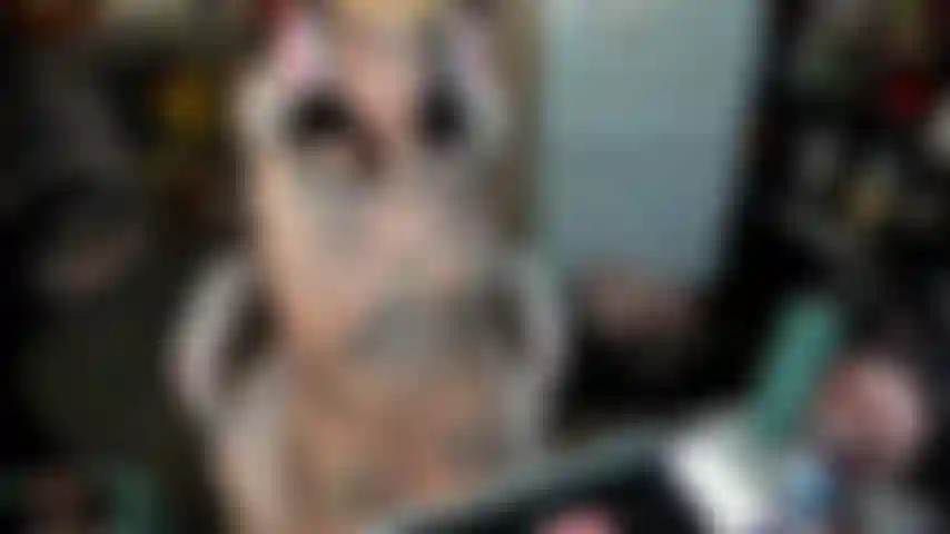 Ein gamer-girl, das für dich masturbiert und einen unordentlichen blowjob gibt.