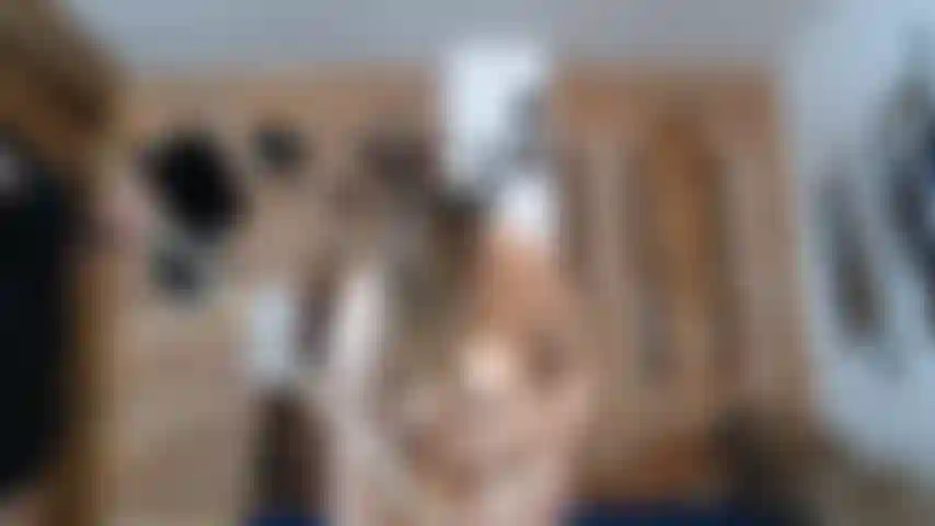 Bdsm_0013_mistress_mara__sum_leah.