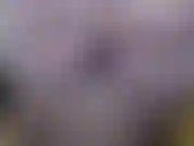 Nackt mit weißen strümpfen. Milf von nebenan fantasie, wo ich dir sage, dass ich es lieben würde, wenn du mein nachbar wärst und herkommst, um mich zu ficken. Viel spaß, dirty talk, ich sage dir, du sollst deinen jungen schwanz streicheln & abspritzen.