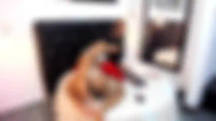 Analshow!! Dein lieblingshintern.