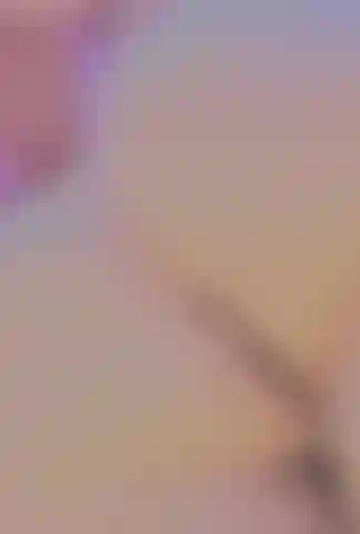 Vid_20220729_152451~3.