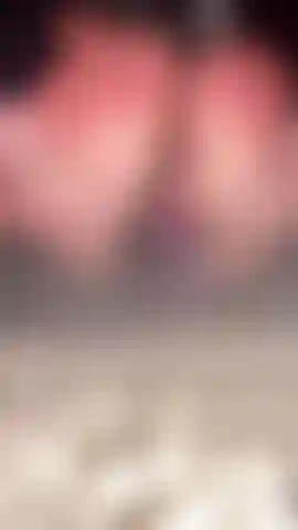 2 Schwänze 1 ich <3.