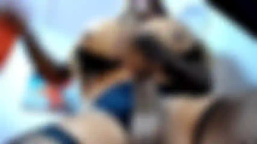 Große ladung sperma.