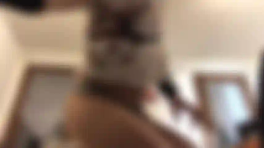 Ich bin aufgewacht und geil... Schau mir zu, wie ich meine muschi fingere, ich zeige dir mein nasses höschen und dann squirte ich überall hin (auch am telefon!!!) Fühlt sich an, als würde ich dir ins gesicht squirten! Lol, viel spaß.