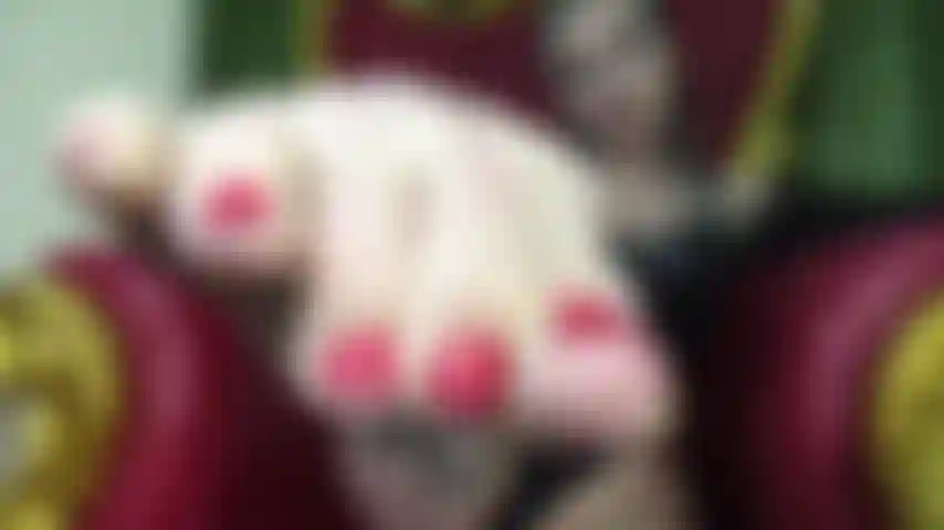 Fußperverser, asmr.